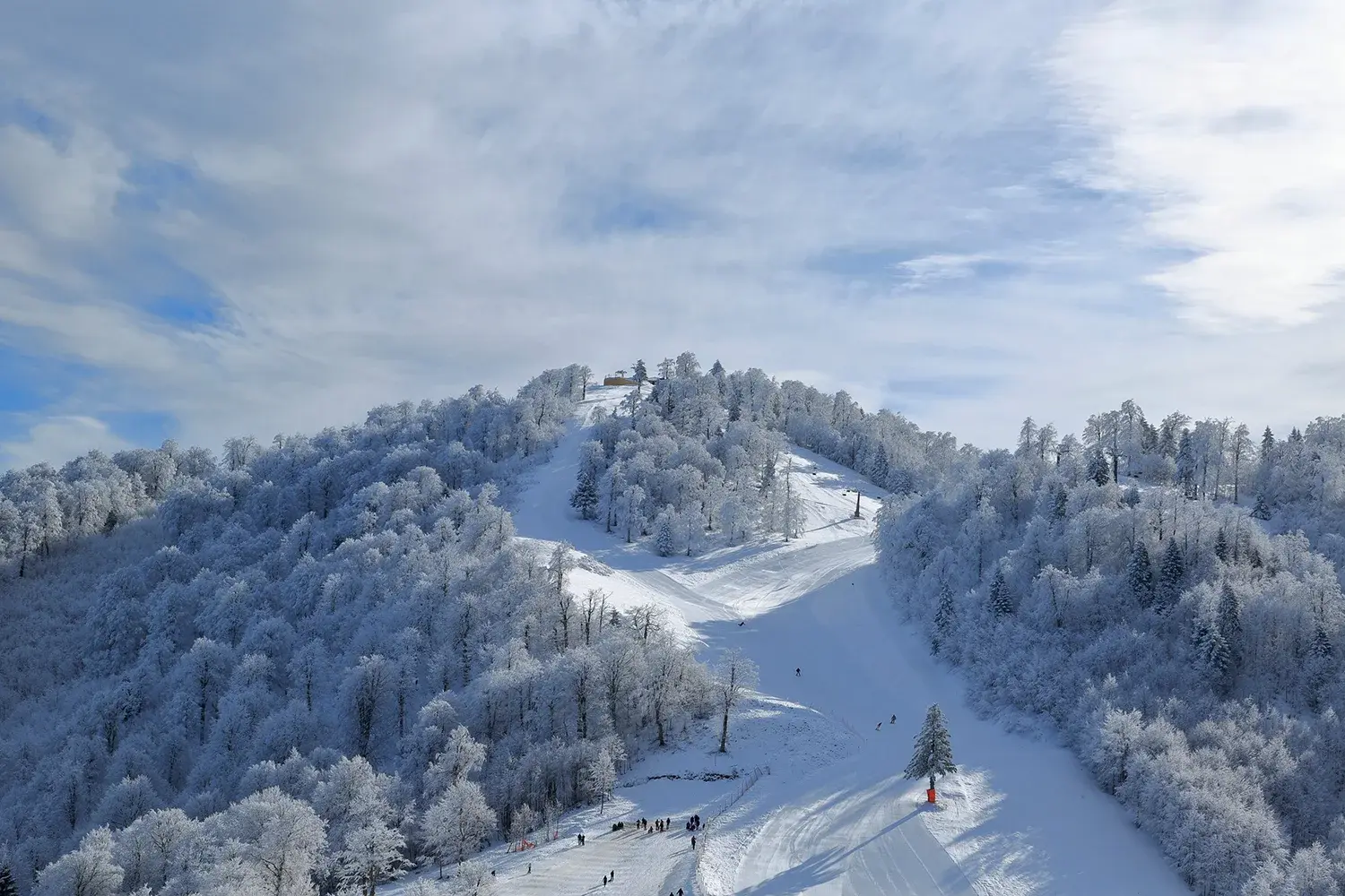 image-3.webp
